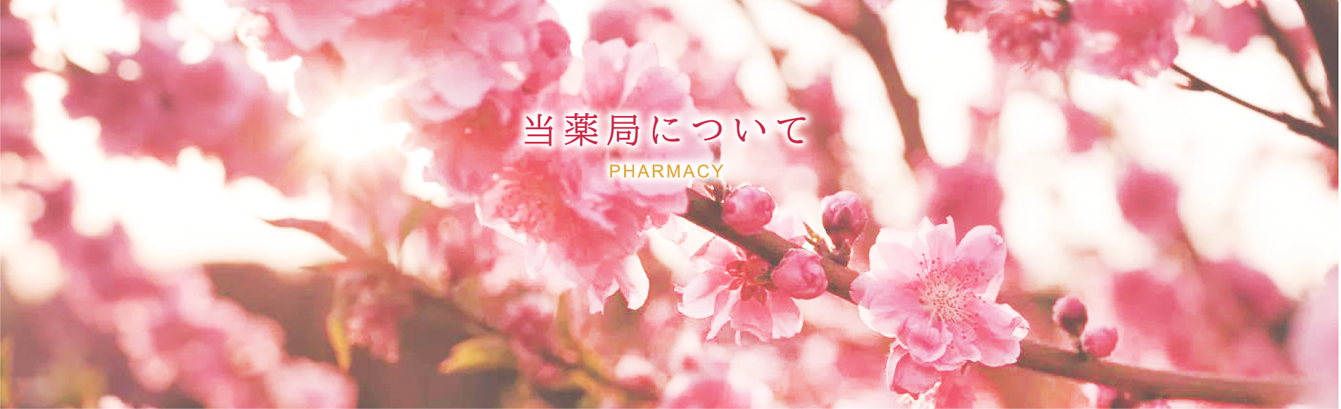 当薬局について